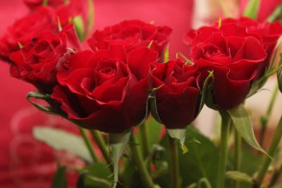 Vola per Sant Jordi amb Volaventura